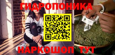 Альфа ПВП Моздок