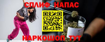 Альфа ПВП Моздок