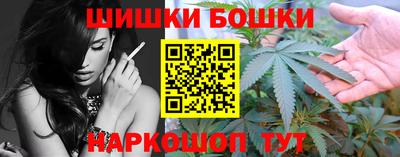 Альфа ПВП Моздок