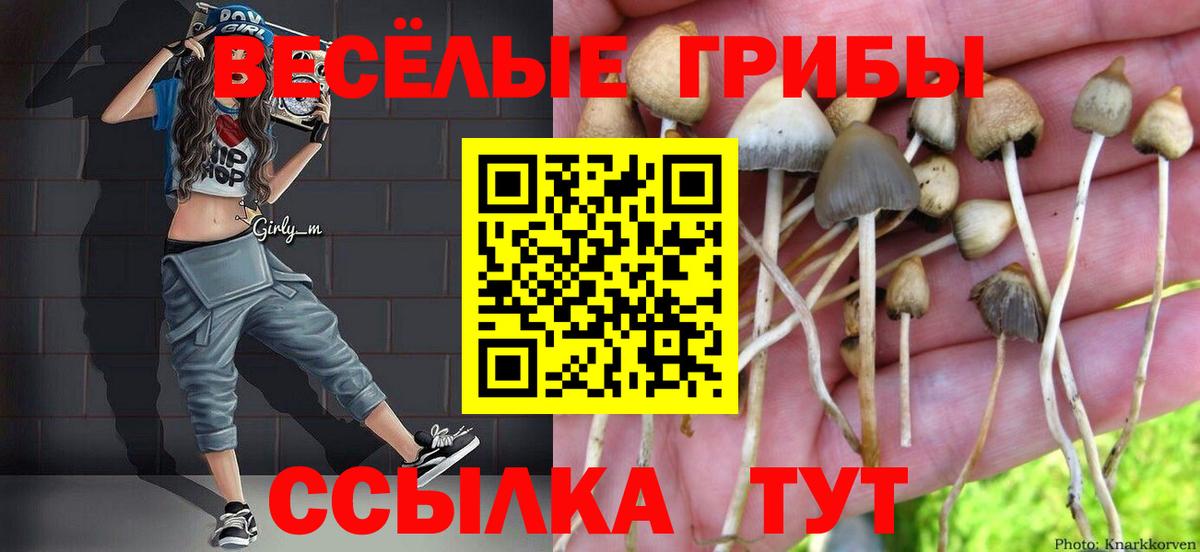 Якутск  Псилоцибиновые грибы GOLDEN TEACHER  Вход с VPN 